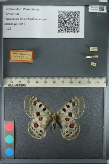 Media type: image;   Entomology 174854
